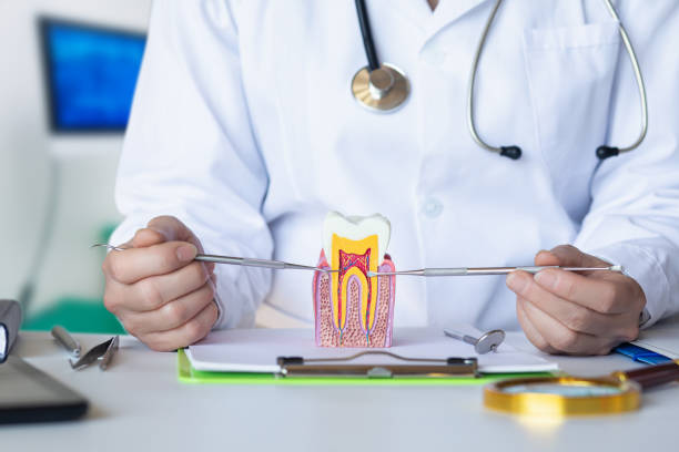 Best Urgent Care for Lost Fillings or Crowns in Ravensworth, VA